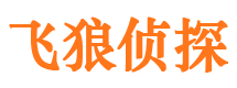 夹江侦探公司